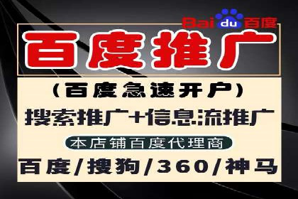 SEM广告投放的精准定位与优化案例